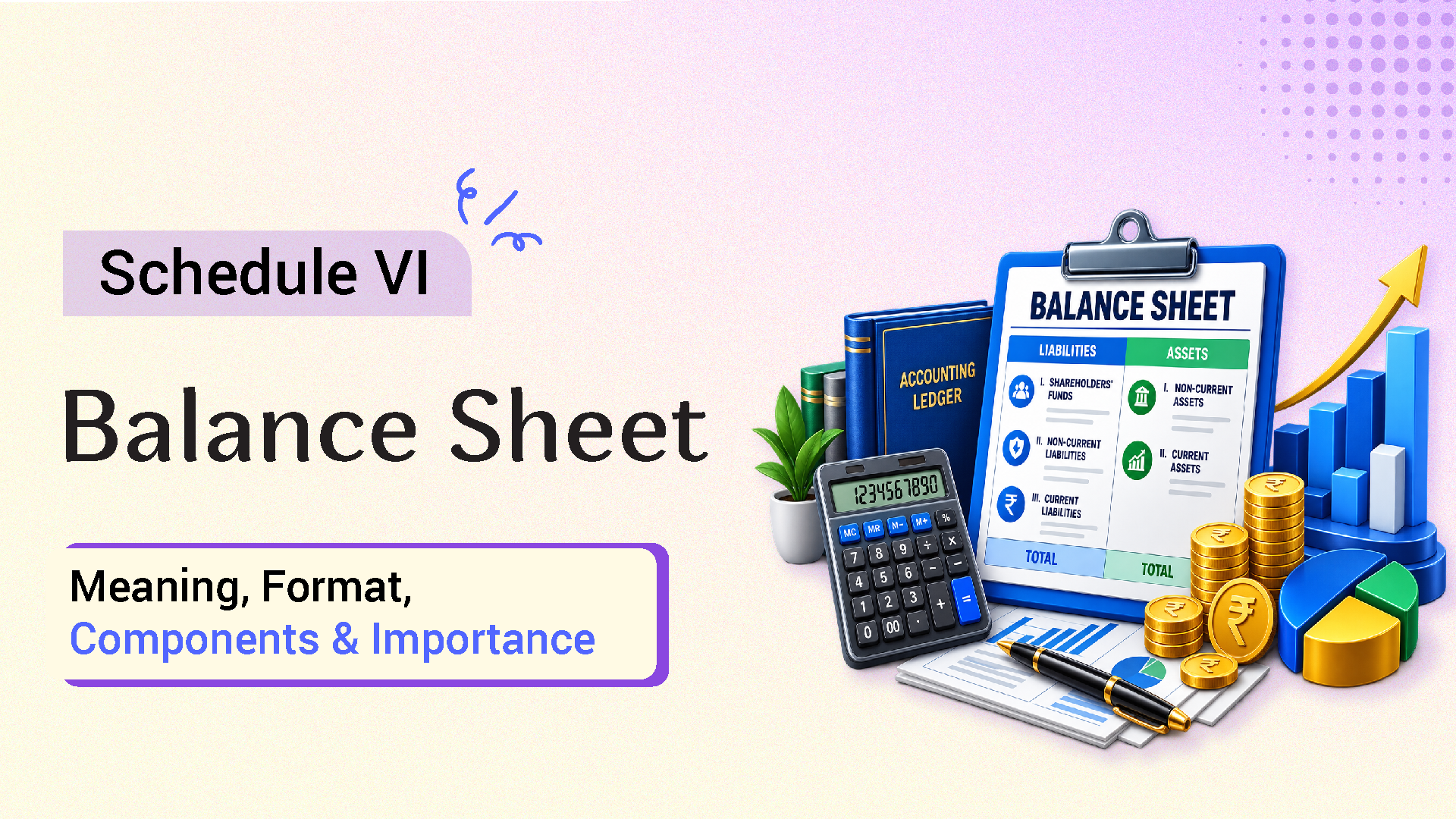 Schedule VI Balance Sheet - Meaning, Format, Components & Importance